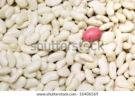 One purple bean among many white beans - concept for standing out