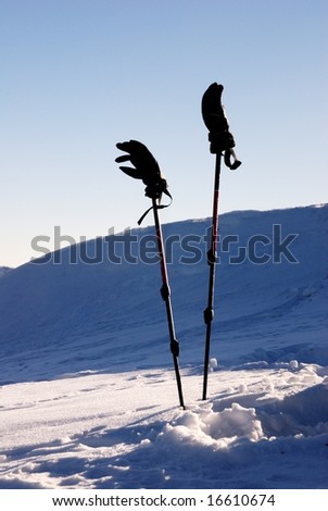 Gloves on ski sticks in snow with blue sky in the background