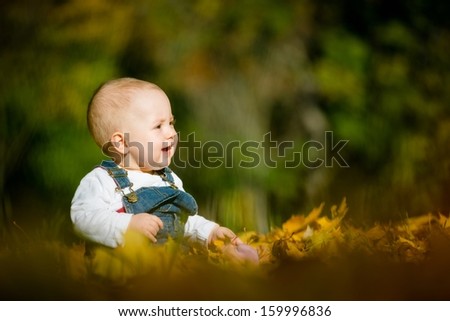 Beautiful happy baby in autumn nature - sitting in leaves