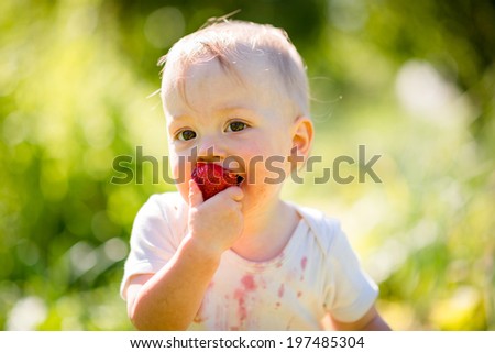 Cute little child eating strawberries, outside in backyard garden