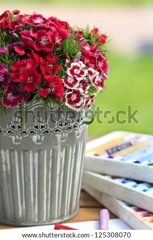 A popular fragrant biennial garden plant, Sweet William or Dianthus barbatus in grey bucket