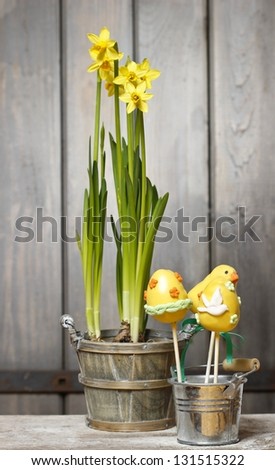 Daffodils in basket and cake pops in silver bucket on wooden background