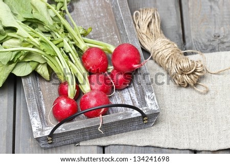 Fresh radishes from ground on old wooden table