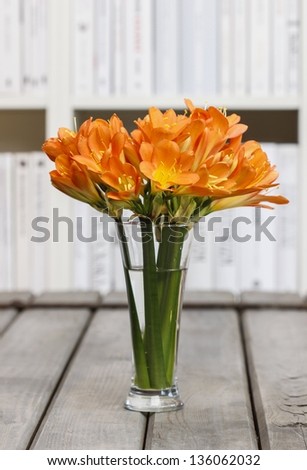 Bouquet of orange clivia flowers in glass vase in library