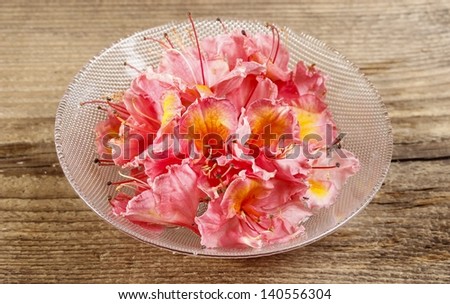 Azalea flowers in glass bowl on wooden background.