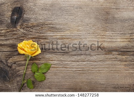 Yellow rose on wooden background. Blank board, copy space