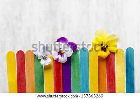 The Pansy Flowers On Colorful Wooden Fence. Copy Space.