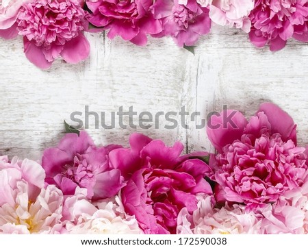 Stunning Pink Peonies On Rustic Wooden Background. Copy Space