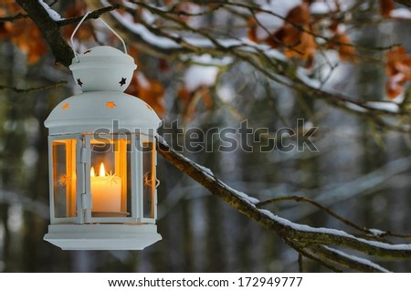 White Lantern Hanging On Oak Branch In Forest. Beautiful Winter Evening