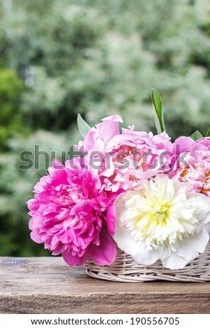 Stunning peonies in white wicker basket on rustic wooden table in lush spring garden. Wedding reception decoration.