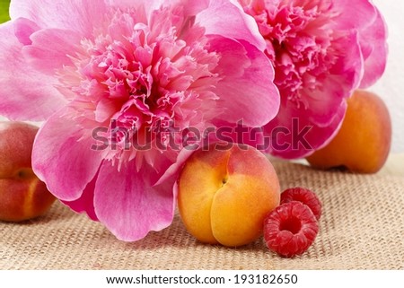 Pretty pink peonies, peach and raspberry - symbols of summer