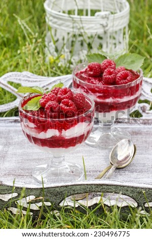 Layer raspberry dessert on garden party table. Lush grass in the background, sunny summer day.