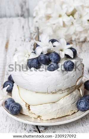 Pavlova cake in winter style