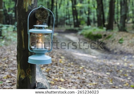 Beautiful lantern in autumn forest