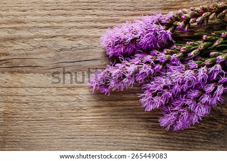 Liatris (blazing star or gayfeather) flowers on wooden background, copy space
