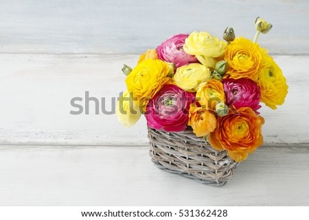 Bouquet of colorful ranunculus flowers.