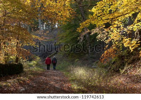 Autumn walk at Killiecrankie, Scotland UK