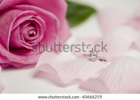 An engagement diamond ring lying on flower petals, pink rose in the background.