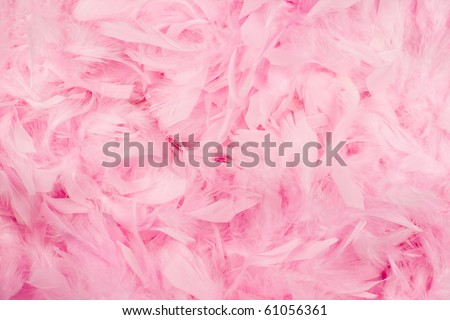 Theme Pink