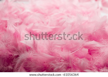 Soft and gentle theme - pink feathers background.