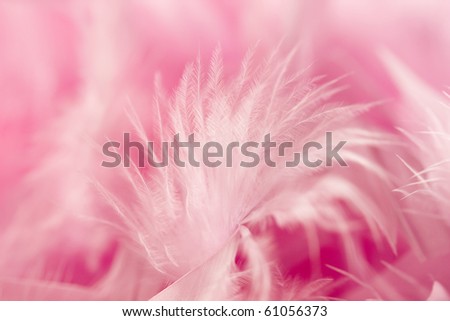 Soft and gentle detail - pink feathers background.