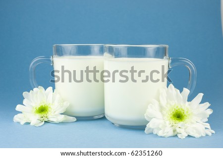 Two cups of milk with white flowers, blue background.