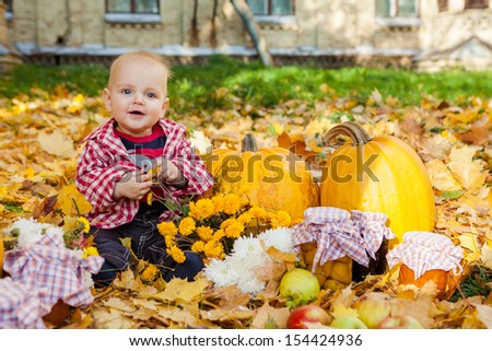 Baby boy in red shirt sitting among pumpkins in autumn garden