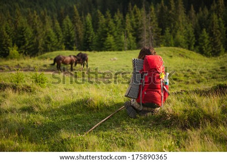 Hiker is waching horses in mountains