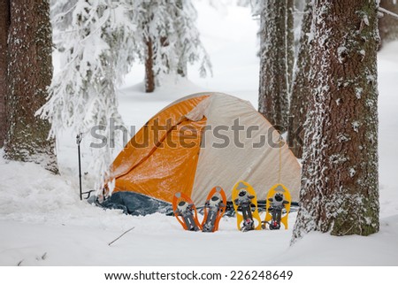 Snowshoes near tent in winter forest