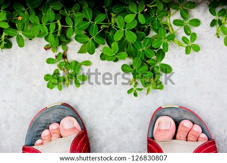 Put a foot on the ground near a leaves