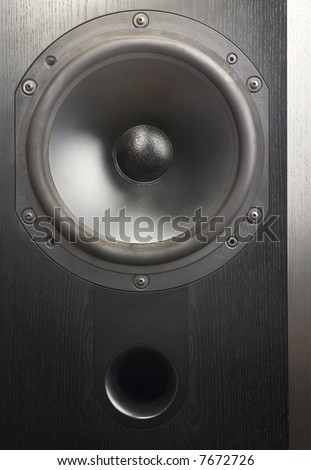 Big studio monitor loudspeaker isolated