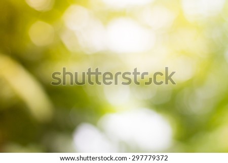 Photo of  blur nature background texture for Element of design