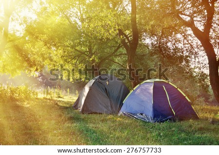 Tourist tent in forest camp among meadow