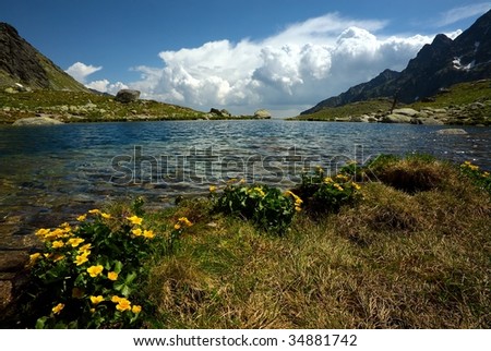 Mountain lake on plateau with lower detail of yellow flower in sunny day with some clouds