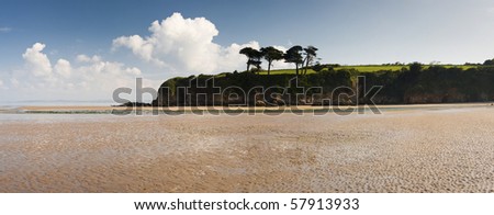 ocean coast with trees panorama