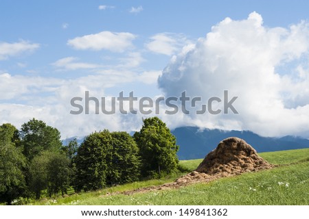 summer country scenery with hay and fields and trees