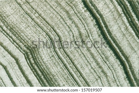 natural stone hedenbergite-wollastonite skarn