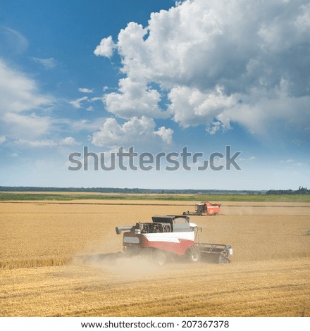 Two combines harvest wheat in the hot afternoon