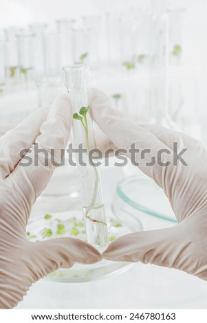 Two hands in rubber glove holding a test-tube with biological material closeup