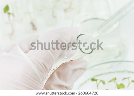 Hand in rubber glove holding a test-tube with biological material closeup