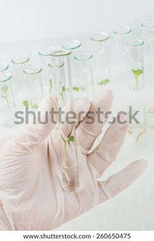Hand in rubber glove holding a test-tube with biological material closeup