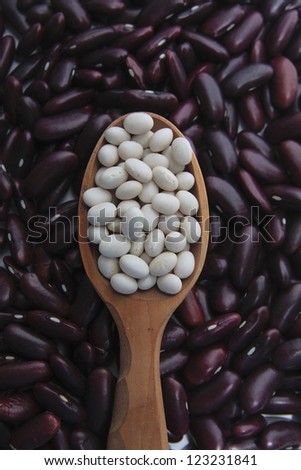 A wooden spoon full with white kidney beans on a background of a red kidney beans