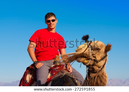 landscape mountains  tour animal camel safari egypt people travel beautiful  holiday background, sinai sharm desert