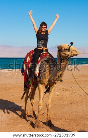 landscape mountains  tour animal camel safari egypt people travel beautiful  holiday background, sinai sharm desert