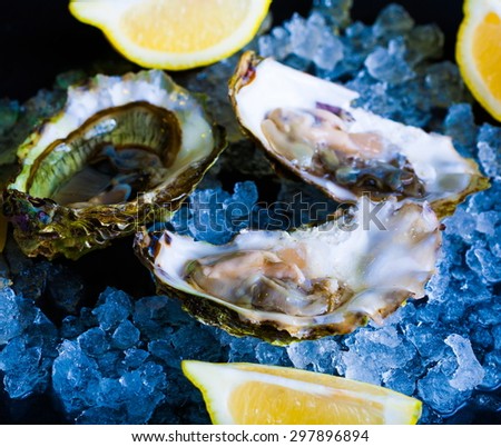 beautiful appetizer oysters luxury life background studio food