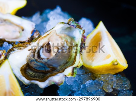 beautiful appetizer oysters luxury life background studio food
