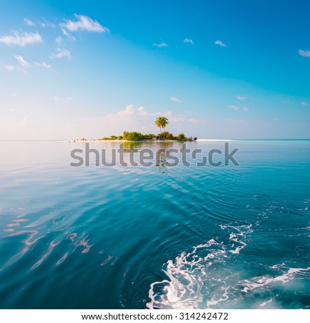 Beautiful amazing nature background. Tropical blue sun sea. Luxury holiday resort. Island atoll about coral reef. Fresh  freedom. Adventure day. Snorkeling. Coconut paradise. unique