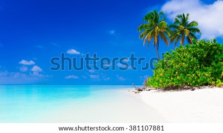 Beautiful amazing nature background. Tropical blue sun sea. Luxury holiday resort. Island atoll about coral reef. Fresh  freedom. Adventure day. Snorkeling. Coconut paradise.
