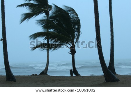 storm on the tropical beach