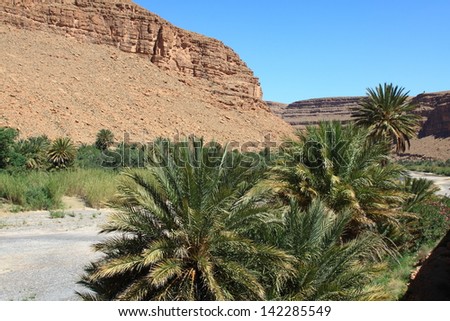 Wide view of canyon and cultivated fields and palms in Errachidia Valley Morocco North Africa Africa